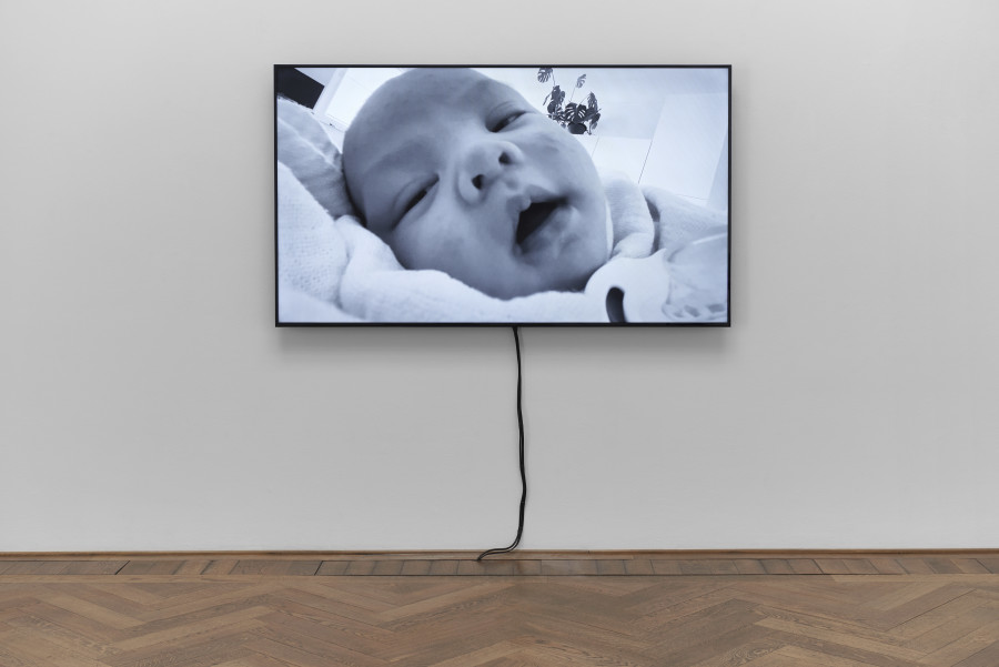 Phung-Tien Phan, Toni 3, 2023, installation view, in: Phung-Tien Phan, Kartoffel, Kunsthalle Basel, 2023, photo: Philipp Hänger / Kunsthalle Basel