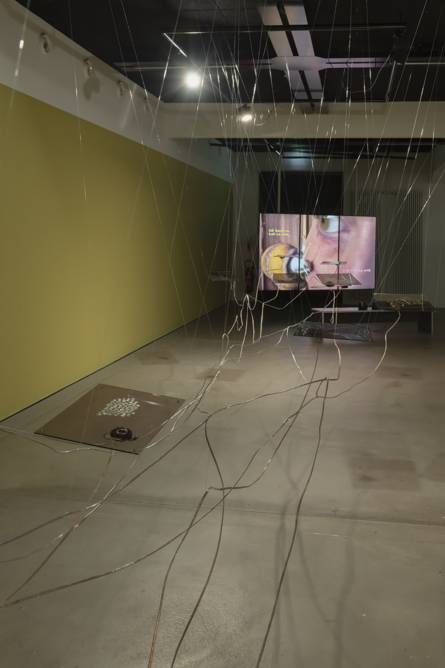 Rhona Mühlebach, I petrify und I Petrify, Coda, 2026, «Lukas Truniger, Isabell Bullerschen, Rhona Mühlebach – Swiss Media Art – Pax Art Awards 2025», 2026, HEK, photo: Franz Wamhof