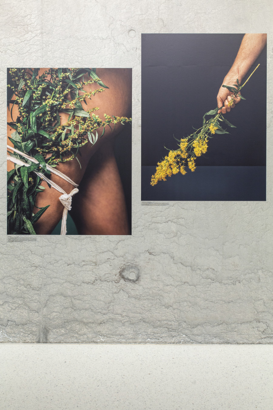 Installation view, Ann Shelton, I am an old phenomenon, Centre de la photographie Genève, 2025. Photo credit: Aline Bovard Rudaz