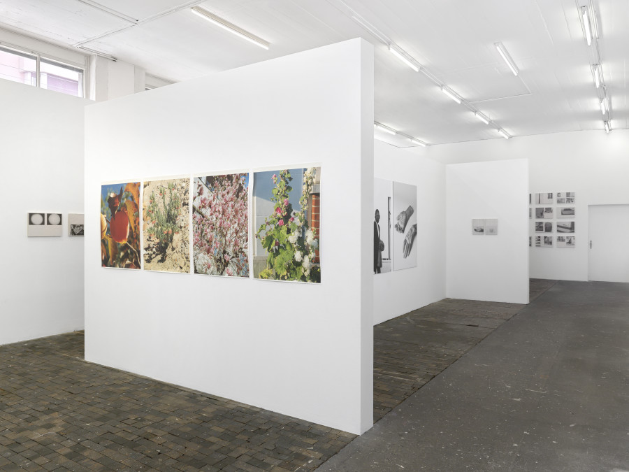 Installation view, Aleix Plademunt, Matter, Centre de la photographie Genève, 2023. Photo credit: Annik Wetter